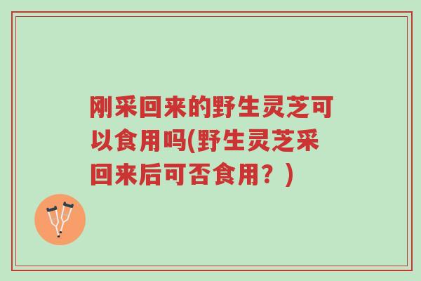 刚采回来的野生灵芝可以食用吗(野生灵芝采回来后可否食用?)-第1张图片-超越 刚采回来的野生灵芝可以食用吗(野生灵芝采回来后可否食用?)-第1张图片-超越