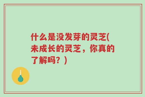 什么是没发芽的灵芝(未成长的灵芝,你真的了解吗?)-第1张图片-超越 什么是没发芽的灵芝(未成长的灵芝,你真的了解吗?)-第1张图片-超越