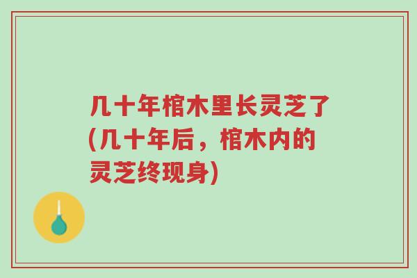 几十年棺木里长灵芝了(几十年后,棺木内的灵芝终现身)-第1张图片-超越 几十年棺木里长灵芝了(几十年后,棺木内的灵芝终现身)-第1张图片-超越