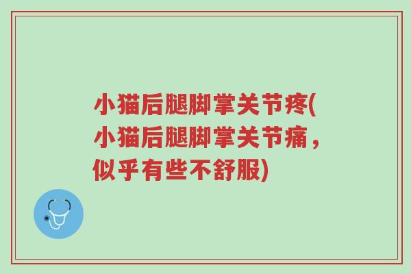 小猫后腿脚掌关节疼(小猫后腿脚掌关节痛,似乎有些不舒服)-第1张图片-超越 小猫后腿脚掌关节疼(小猫后腿脚掌关节痛,似乎有些不舒服)-第1张图片-超越