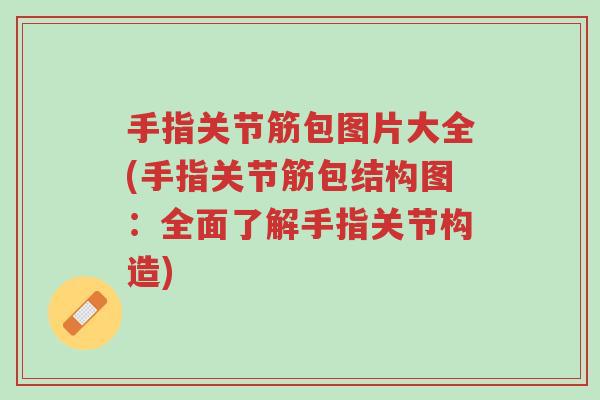 手指关节筋包图片大全(手指关节筋包结构图：全面了解手指关节构造)-第1张图片-超越