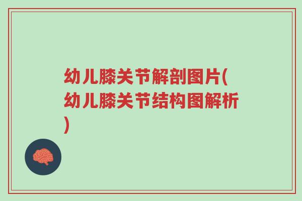 幼儿膝关节解剖图片(幼儿膝关节结构图解析)-第1张图片-超越 幼儿膝关节解剖图片(幼儿膝关节结构图解析)-第1张图片-超越