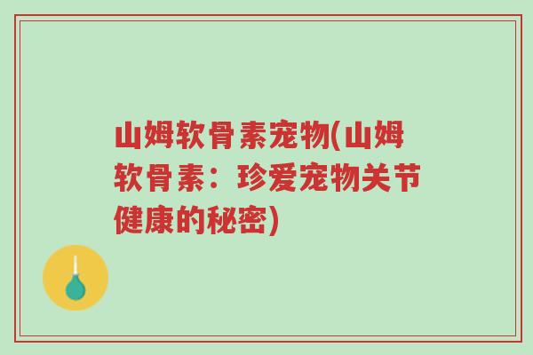 山姆软骨素宠物(山姆软骨素:珍爱宠物关节健康的秘密)-第1张图片-超越 山姆软骨素宠物(山姆软骨素:珍爱宠物关节健康的秘密)-第1张图片-超越