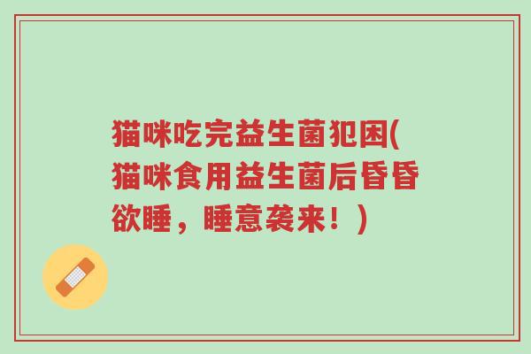 猫咪吃完益生菌犯困(猫咪食用益生菌后昏昏欲睡,睡意袭来!)-第1张图片-超越 猫咪吃完益生菌犯困(猫咪食用益生菌后昏昏欲睡,睡意袭来!)-第1张图片-超越