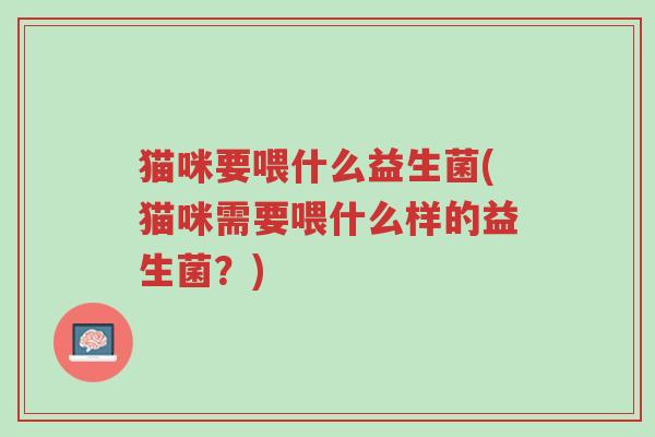 猫咪要喂什么益生菌(猫咪需要喂什么样的益生菌?)-第1张图片-超越 猫咪要喂什么益生菌(猫咪需要喂什么样的益生菌?)-第1张图片-超越