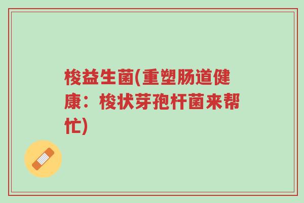 梭益生菌(重塑肠道健康:梭状芽孢杆菌来帮忙)-第1张图片-超越 梭益生菌(重塑肠道健康:梭状芽孢杆菌来帮忙)-第1张图片-超越