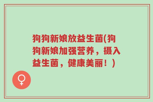 狗狗新娘放益生菌(狗狗新娘加强营养，摄入益生菌，健康美丽！)-第1张图片-超越