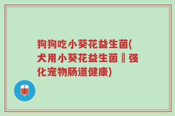 狗狗吃小葵花益生菌(犬用小葵花益生菌–强化宠物肠道健康)-第1张图片-超越 狗狗吃小葵花益生菌(犬用小葵花益生菌–强化宠物肠道健康)-第1张图片-超越