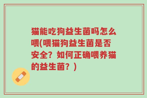 猫能吃狗益生菌吗怎么喂(喂猫狗益生菌是否安全?如何正确喂养猫的益生菌?)-第1张图片-超越 猫能吃狗益生菌吗怎么喂(喂猫狗益生菌是否安全?如何正确喂养猫的益生菌?)-第1张图片-超越
