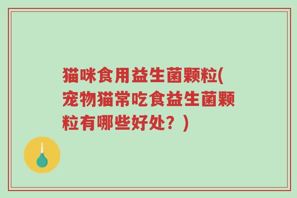 猫咪食用益生菌颗粒(宠物猫常吃食益生菌颗粒有哪些好处?)-第1张图片-超越 猫咪食用益生菌颗粒(宠物猫常吃食益生菌颗粒有哪些好处?)-第1张图片-超越