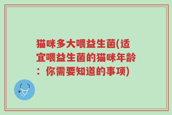 猫咪多大喂益生菌(适宜喂益生菌的猫咪年龄:你需要知道的事项)-第1张图片-超越 猫咪多大喂益生菌(适宜喂益生菌的猫咪年龄:你需要知道的事项)-第1张图片-超越