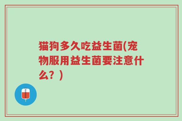猫狗多久吃益生菌(宠物服用益生菌要注意什么？)-第1张图片-超越