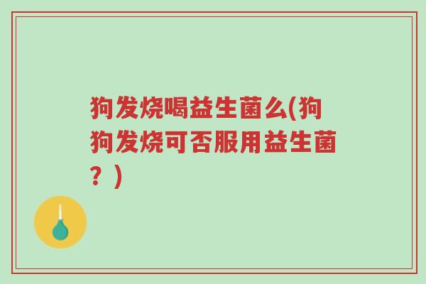 狗发烧喝益生菌么(狗狗发烧可否服用益生菌?)-第1张图片-超越 狗发烧喝益生菌么(狗狗发烧可否服用益生菌?)-第1张图片-超越