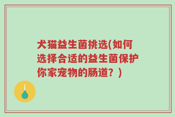 犬猫益生菌挑选(如何选择合适的益生菌保护你家宠物的肠道？)-第1张图片-超越