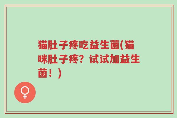 猫肚子疼吃益生菌(猫咪肚子疼?试试加益生菌!)-第1张图片-超越 猫肚子疼吃益生菌(猫咪肚子疼?试试加益生菌!)-第1张图片-超越