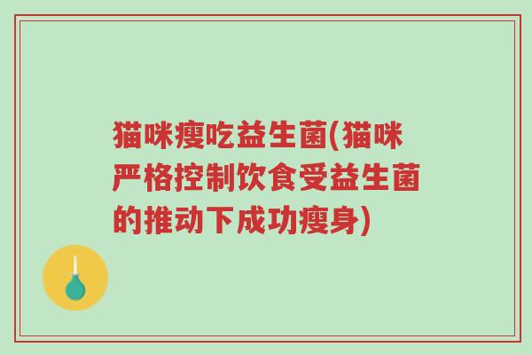 猫咪瘦吃益生菌(猫咪严格控制饮食受益生菌的推动下成功瘦身)-第1张图片-超越 猫咪瘦吃益生菌(猫咪严格控制饮食受益生菌的推动下成功瘦身)-第1张图片-超越