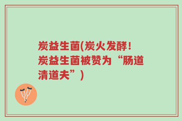 炭益生菌(炭火发酵!炭益生菌被赞为“肠道清道夫”)-第1张图片-超越 炭益生菌(炭火发酵!炭益生菌被赞为“肠道清道夫”)-第1张图片-超越