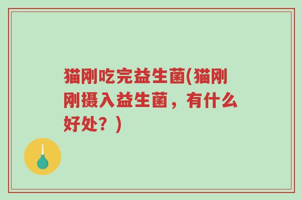 猫刚吃完益生菌(猫刚刚摄入益生菌,有什么好处?)-第1张图片-超越 猫刚吃完益生菌(猫刚刚摄入益生菌,有什么好处?)-第1张图片-超越