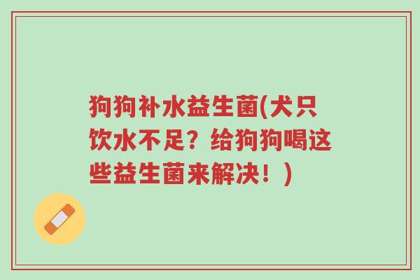 狗狗补水益生菌(犬只饮水不足?给狗狗喝这些益生菌来解决!)-第1张图片-超越 狗狗补水益生菌(犬只饮水不足?给狗狗喝这些益生菌来解决!)-第1张图片-超越