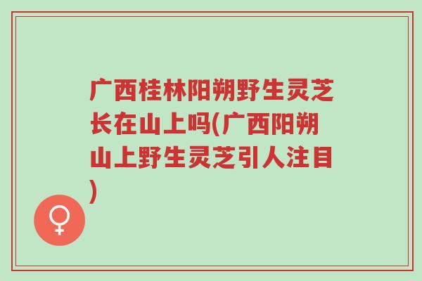 广西桂林阳朔野生灵芝长在山上吗(广西阳朔山上野生灵芝引人注目)-第1张图片-超越 广西桂林阳朔野生灵芝长在山上吗(广西阳朔山上野生灵芝引人注目)-第1张图片-超越