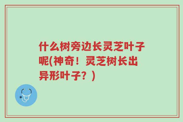 什么树旁边长灵芝叶子呢(神奇！灵芝树长出异形叶子？)-第1张图片-超越