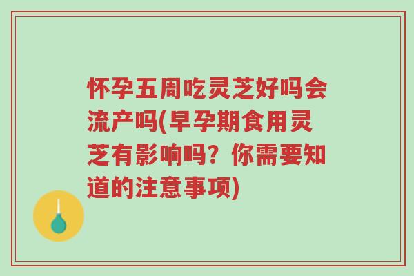 怀孕五周吃灵芝好吗会流产吗(早孕期食用灵芝有影响吗?你需要知道的注意事项)-第1张图片-超越 怀孕五周吃灵芝好吗会流产吗(早孕期食用灵芝有影响吗?你需要知道的注意事项)-第1张图片-超越