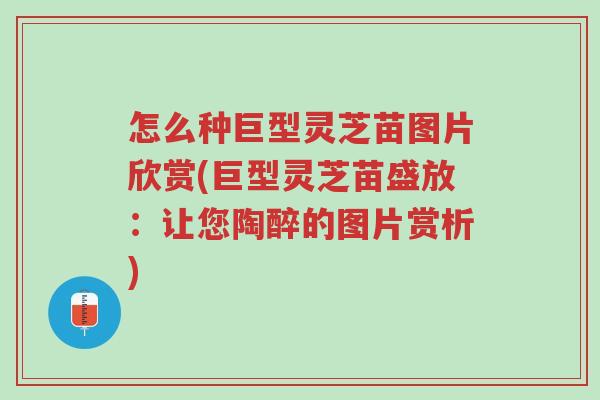 怎么种巨型灵芝苗图片欣赏(巨型灵芝苗盛放:让您陶醉的图片赏析)-第1张图片-超越 怎么种巨型灵芝苗图片欣赏(巨型灵芝苗盛放:让您陶醉的图片赏析)-第1张图片-超越