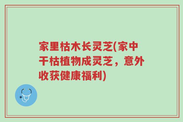 家里枯木长灵芝(家中干枯植物成灵芝,意外收获健康福利)-第1张图片-超越 家里枯木长灵芝(家中干枯植物成灵芝,意外收获健康福利)-第1张图片-超越