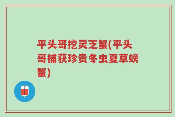 平头哥挖灵芝蟹(平头哥捕获珍贵冬虫夏草螃蟹)-第1张图片-超越 平头哥挖灵芝蟹(平头哥捕获珍贵冬虫夏草螃蟹)-第1张图片-超越