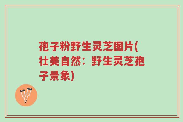 孢子粉野生灵芝图片(壮美自然:野生灵芝孢子景象)-第1张图片-超越 孢子粉野生灵芝图片(壮美自然:野生灵芝孢子景象)-第1张图片-超越