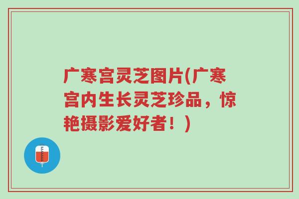 广寒宫灵芝图片(广寒宫内生长灵芝珍品,惊艳摄影爱好者!)-第1张图片-超越 广寒宫灵芝图片(广寒宫内生长灵芝珍品,惊艳摄影爱好者!)-第1张图片-超越