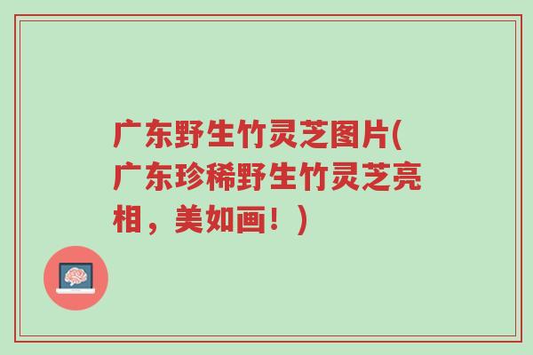 广东野生竹灵芝图片(广东珍稀野生竹灵芝亮相,美如画!)-第1张图片-超越 广东野生竹灵芝图片(广东珍稀野生竹灵芝亮相,美如画!)-第1张图片-超越