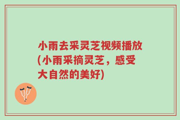 小雨去采灵芝视频播放(小雨采摘灵芝,感受大自然的美好)-第1张图片-超越 小雨去采灵芝视频播放(小雨采摘灵芝,感受大自然的美好)-第1张图片-超越