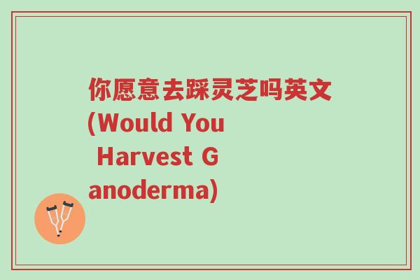你愿意去踩灵芝吗英文(Would You Harvest Ganoderma)-第1张图片-超越 你愿意去踩灵芝吗英文(Would You Harvest Ganoderma)-第1张图片-超越