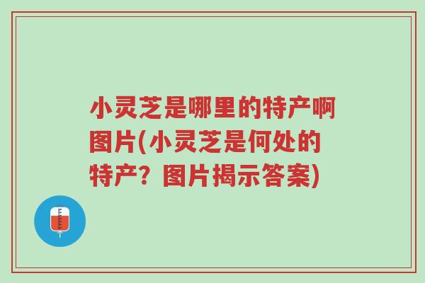 小灵芝是哪里的特产啊图片(小灵芝是何处的特产?图片揭示答案)-第1张图片-超越 小灵芝是哪里的特产啊图片(小灵芝是何处的特产?图片揭示答案)-第1张图片-超越