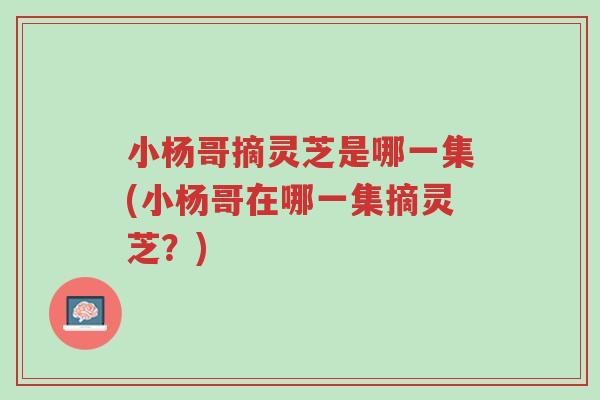 小杨哥摘灵芝是哪一集(小杨哥在哪一集摘灵芝?)-第1张图片-超越 小杨哥摘灵芝是哪一集(小杨哥在哪一集摘灵芝?)-第1张图片-超越