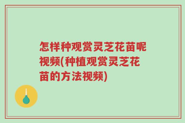 怎样种观赏灵芝花苗呢视频(种植观赏灵芝花苗的方法视频)-第1张图片-超越 怎样种观赏灵芝花苗呢视频(种植观赏灵芝花苗的方法视频)-第1张图片-超越