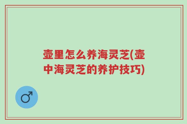 壶里怎么养海灵芝(壶中海灵芝的养护技巧)-第1张图片-超越 壶里怎么养海灵芝(壶中海灵芝的养护技巧)-第1张图片-超越
