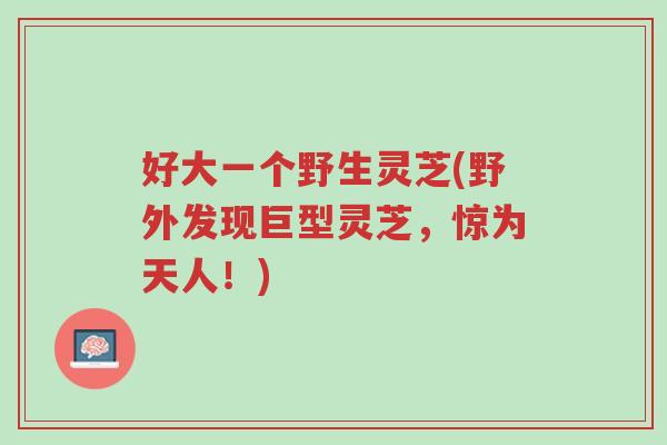 好大一个野生灵芝(野外发现巨型灵芝,惊为天人!)-第1张图片-超越 好大一个野生灵芝(野外发现巨型灵芝,惊为天人!)-第1张图片-超越