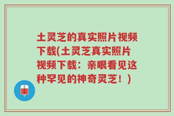土灵芝的真实照片视频下载(土灵芝真实照片视频下载:亲眼看见这种罕见的神奇灵芝!)-第1张图片-超越 土灵芝的真实照片视频下载(土灵芝真实照片视频下载:亲眼看见这种罕见的神奇灵芝!)-第1张图片-超越