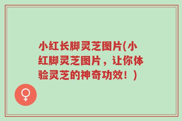 小红长脚灵芝图片(小红脚灵芝图片,让你体验灵芝的神奇功效!)-第1张图片-超越 小红长脚灵芝图片(小红脚灵芝图片,让你体验灵芝的神奇功效!)-第1张图片-超越
