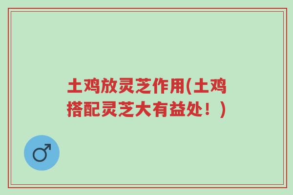 土鸡放灵芝作用(土鸡搭配灵芝大有益处!)-第1张图片-超越 土鸡放灵芝作用(土鸡搭配灵芝大有益处!)-第1张图片-超越