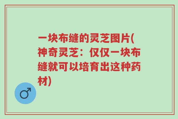 一块布缝的灵芝图片(神奇灵芝:仅仅一块布缝就可以培育出这种药材)-第1张图片-超越 一块布缝的灵芝图片(神奇灵芝:仅仅一块布缝就可以培育出这种药材)-第1张图片-超越