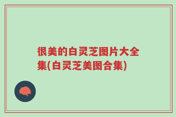很美的白灵芝图片大全集(白灵芝美图合集)-第1张图片-超越 很美的白灵芝图片大全集(白灵芝美图合集)-第1张图片-超越