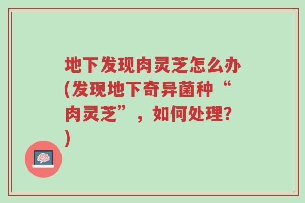 地下发现肉灵芝怎么办(发现地下奇异菌种“肉灵芝”，如何处理？)-第1张图片-超越
