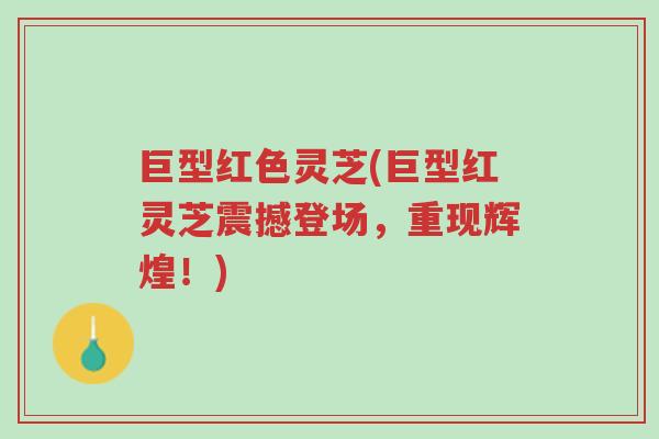 巨型红色灵芝(巨型红灵芝震撼登场,重现辉煌!)-第1张图片-超越 巨型红色灵芝(巨型红灵芝震撼登场,重现辉煌!)-第1张图片-超越