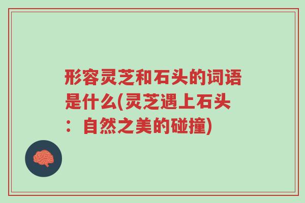 形容灵芝和石头的词语是什么(灵芝遇上石头:自然之美的碰撞)-第1张图片-超越 形容灵芝和石头的词语是什么(灵芝遇上石头:自然之美的碰撞)-第1张图片-超越