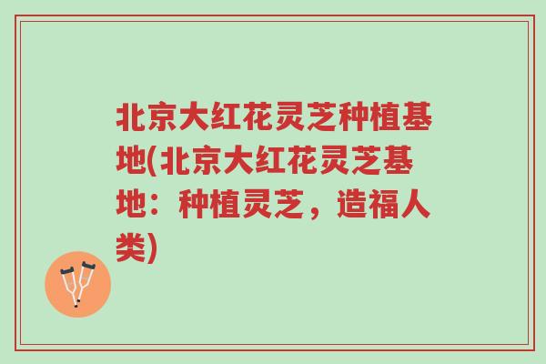 北京大红花灵芝种植基地(北京大红花灵芝基地:种植灵芝,造福人类)-第1张图片-超越 北京大红花灵芝种植基地(北京大红花灵芝基地:种植灵芝,造福人类)-第1张图片-超越