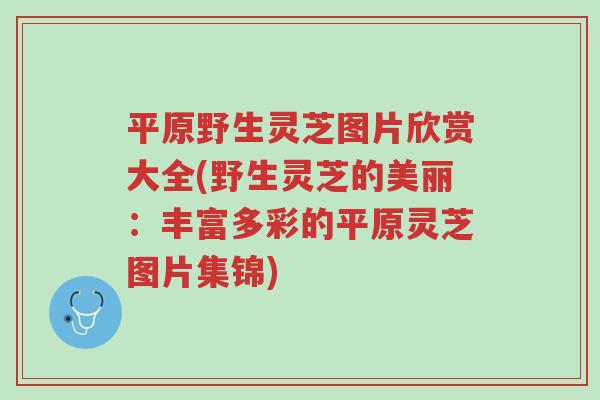 平原野生灵芝图片欣赏大全(野生灵芝的美丽:丰富多彩的平原灵芝图片集锦)-第1张图片-超越 平原野生灵芝图片欣赏大全(野生灵芝的美丽:丰富多彩的平原灵芝图片集锦)-第1张图片-超越