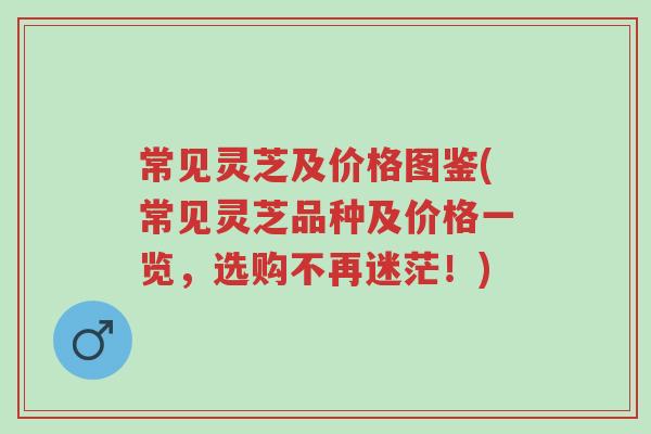 常见灵芝及价格图鉴(常见灵芝品种及价格一览,选购不再迷茫!)-第1张图片-超越 常见灵芝及价格图鉴(常见灵芝品种及价格一览,选购不再迷茫!)-第1张图片-超越